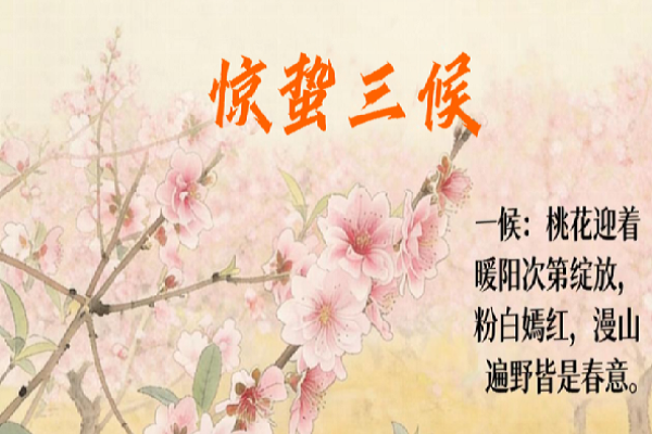 0ee1a5d2cc4dcb3ba0023256f8cc27bc.png