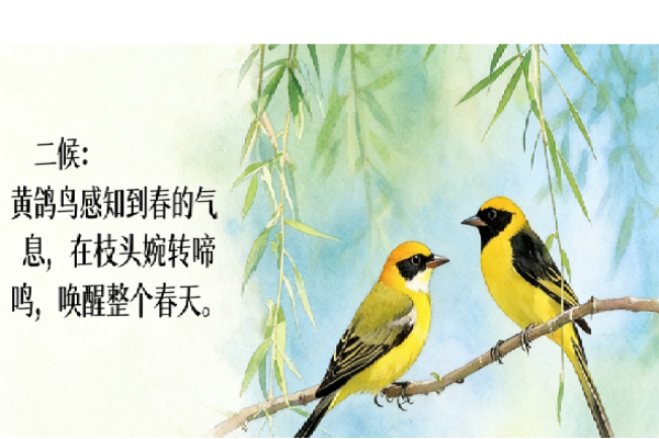 2f827ada1ad39e1b377a2b323fc4c955.png