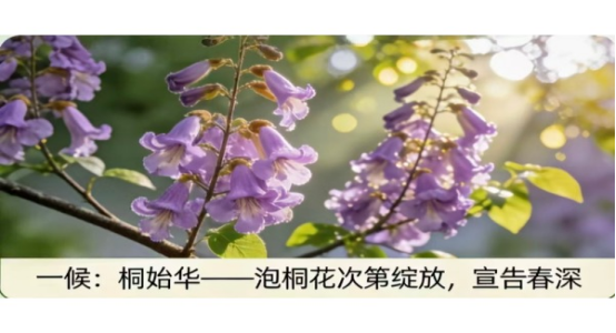 c2259e7c9880f2eb88698631dacf5792.png c2259e7c9880f2eb88698631dacf5792.png